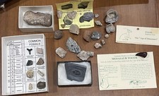 educational learning Collection For Kids