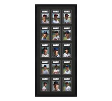 SGC Graded Card Frame Display Holds (15) Slabs Baseball, UV Protection