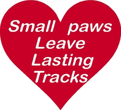 Heart Small Paws Leave Lasting Trackings Dog Pet Animal Lover Window Sticker 