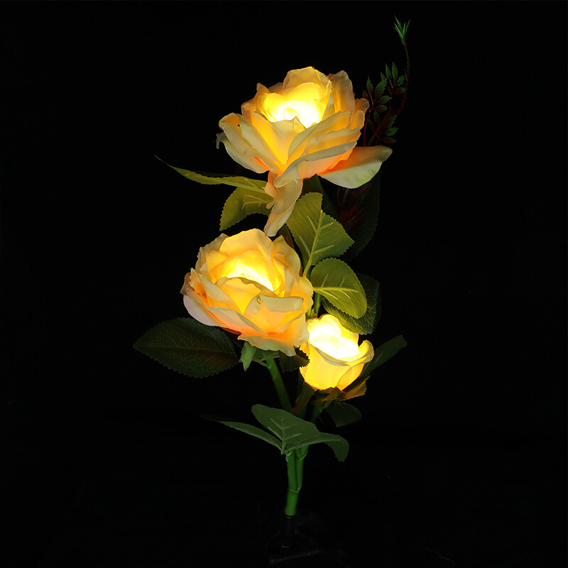 Picture 59 of 60