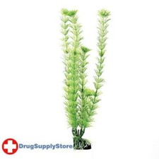 RA Green Cabomba - 12" 3 Pack 