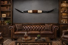Mounted Steer Horns 67 Inches Wide Genuine Longhorn Wall Decor Polished Mount