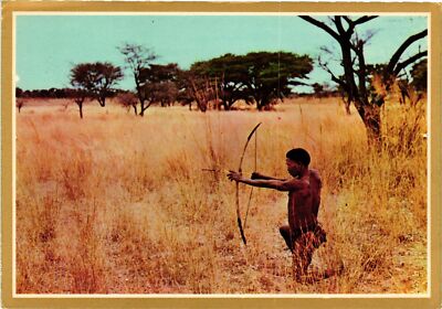 Vintage Postcard 4x6- BUSHMAN SHOOTING BOW AND ARROW