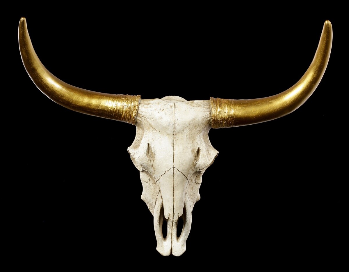 Wall Relief Buffalo Skull - Golden Horns - Wall Decor Animal Skull Cattle Skull