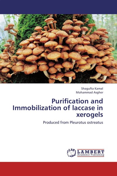 Shagufta Kamal (U. A.) | Purification And Immobilization Of Laccase In Xerogels-image