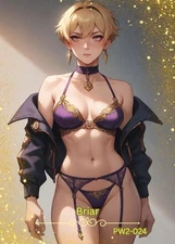 Briar - Beautiful Sexy Waifu Card -Custom DIY Fan Art Card PW2-024