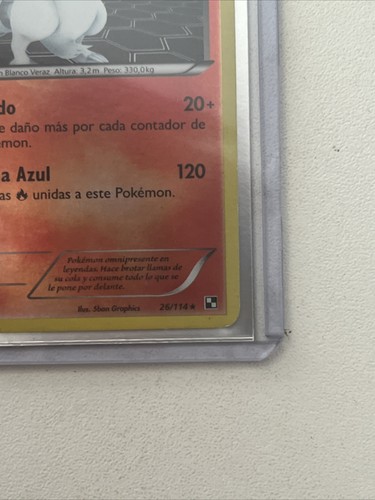 reshiram - Imagen 5 de 6