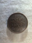 Coon #12 — photo 2