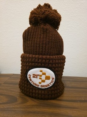 VINTAGE 21ST CENTURY GENETICS BROWN KNIT HAT WITH PATCH & POM