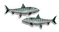 Bonefish Decals Fish Stickers Vinyl Tackle Box Stickers - Set of 2 #153