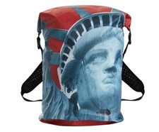 Supreme Fw19 X The North Face Statue of 