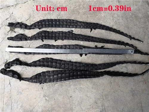 1X Real Crocodile Bone Leather Alligator Skin Hide Fish Bone Scraps DIY Keychain - Picture 4 of 10
