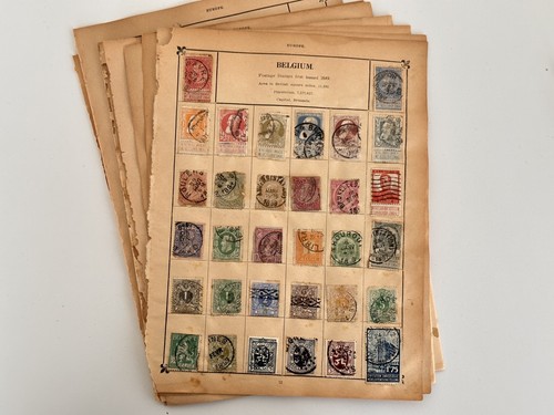 World Stamp On Pages - Lot Used Stamps - From Old Stamp Album - E191