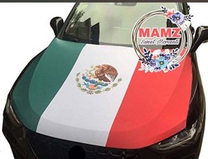 Mexico Bandera Para Carro Elastica Flag