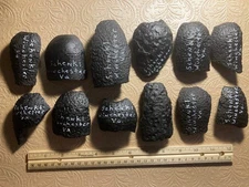 12 Civil War US/Union Schenkl Artillery Shell Nose Fragments-Winchester,Va.-COA