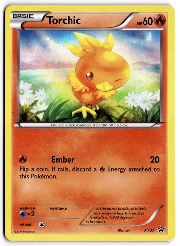Pokemon TCG Torchic XY37 Black Star Promo Holo LP