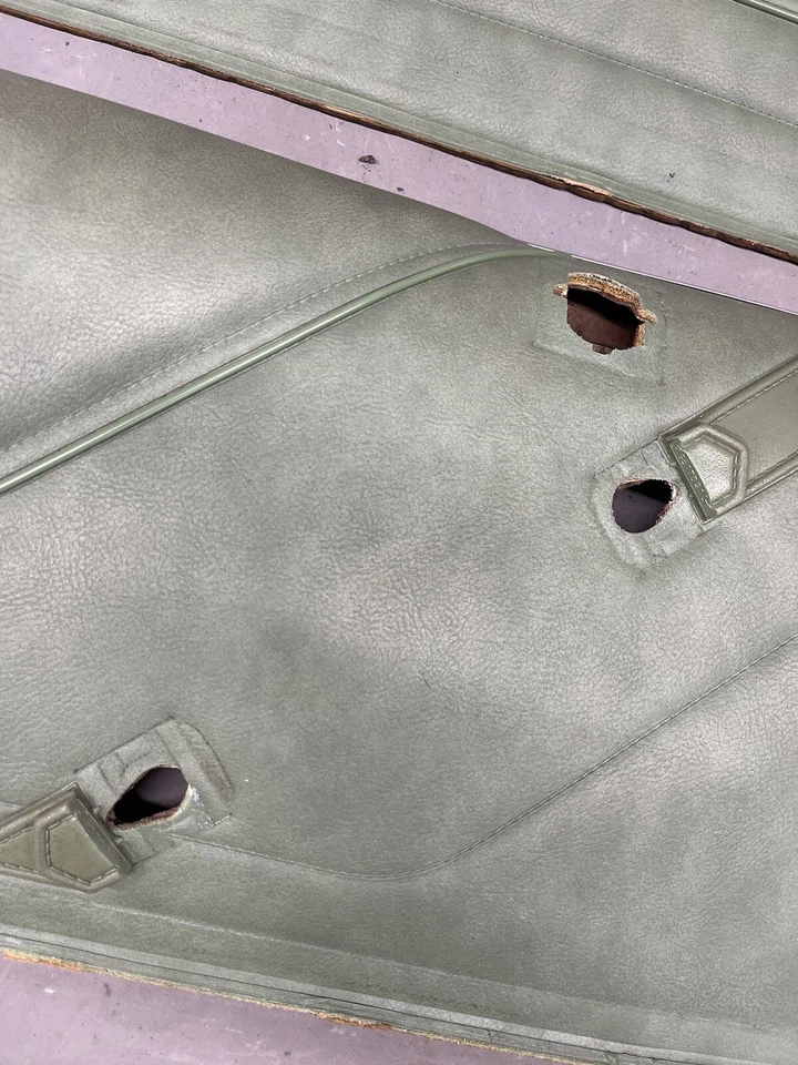 Pontiac Can Am GTO 1973-1977 Chevelle Regal paneles de puerta Grand Am Prix OEM Malibu Foto 3 de 4