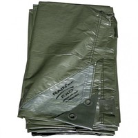 Rainexo - Abdeckplane GrüN, 90G/Qm, 3X4M