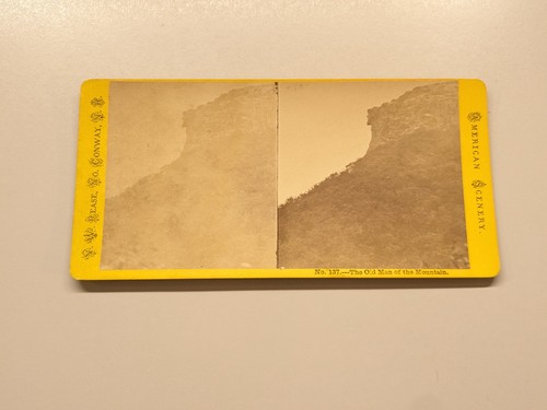 Stereoview Photo - Picture 4 of 8