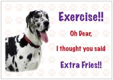 Funny GREAT DANE Vinyl Car Van Decal Sticker Pet Animal Lover