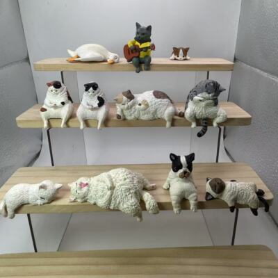 Lazy Cats Capsule Toy - Chonk Version Calico Scottish Kitten Gacha Japan