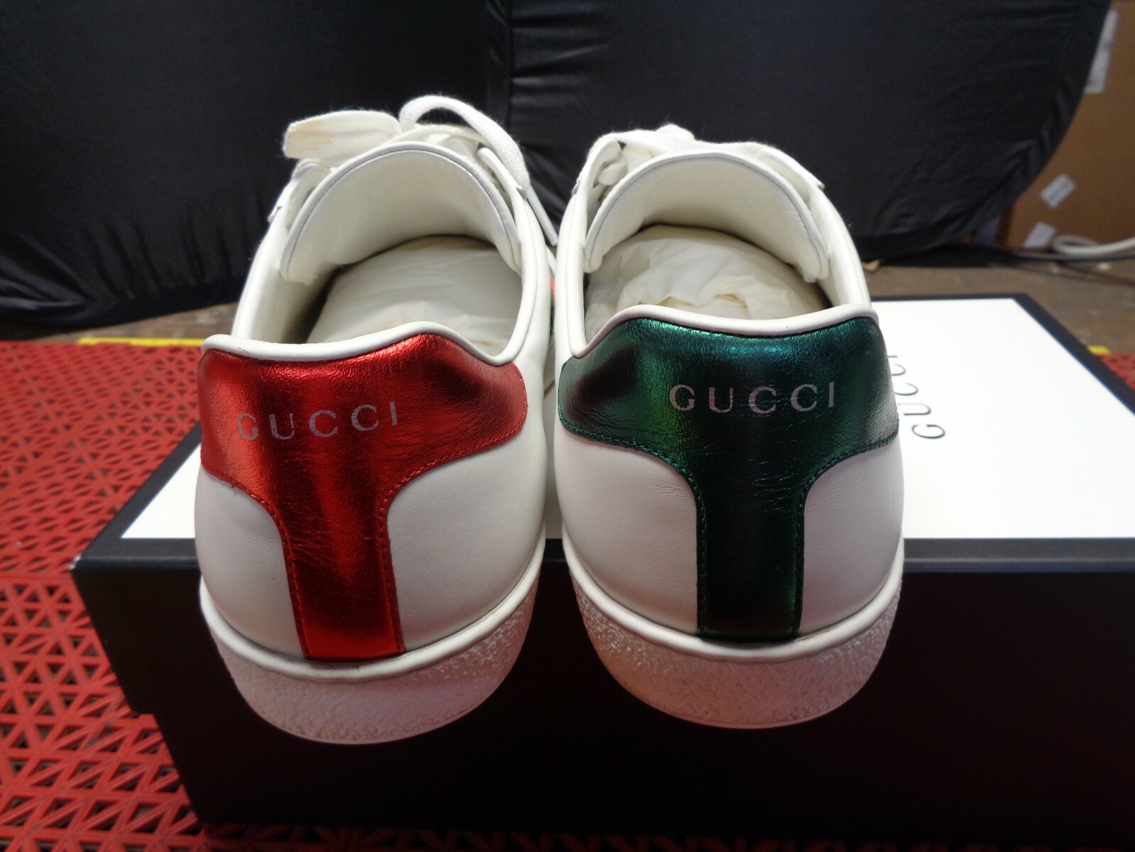 gucci ace dog