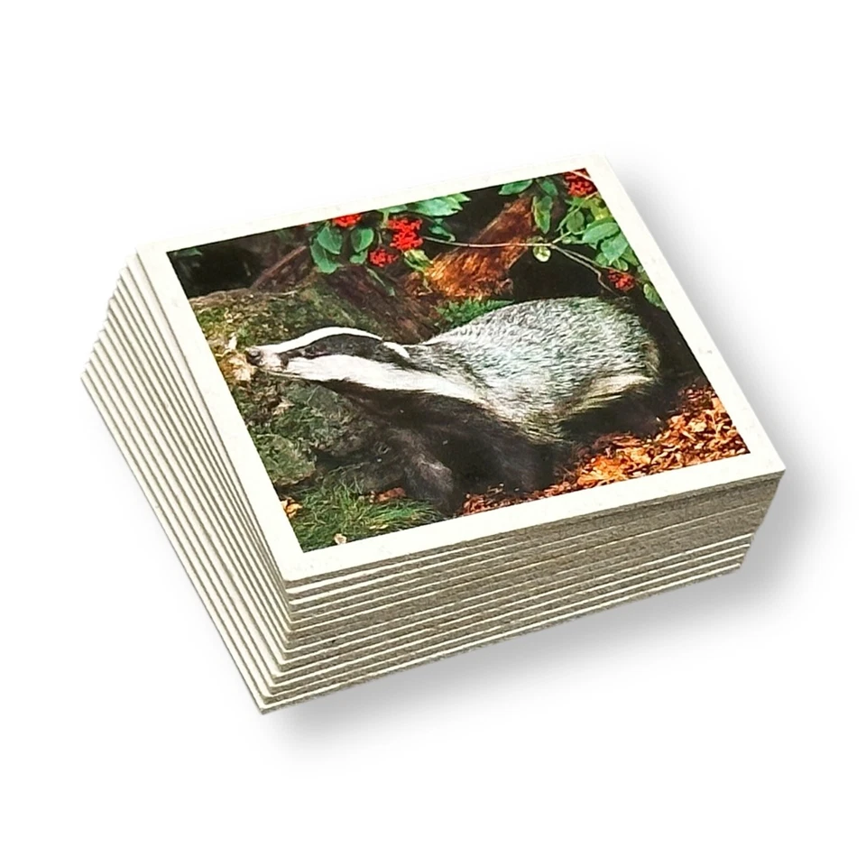 Natur Memory - Ravensburger - Vollständig - Tiere Pflanzen Kinderspiel 1992 - Bild 4 von 4