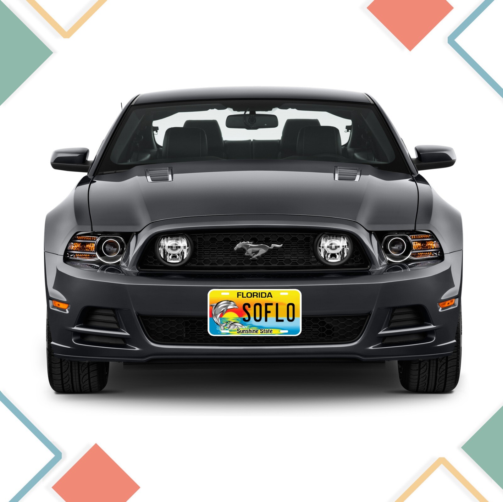 PERSONALIZED Florida License Plate Dolphin eBay