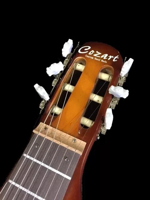 NEW CONCERT 6 STRING LAP STEEL ELECTRIC GUITAR-PINK FLOYD David Gilmour style - image 3 of 4