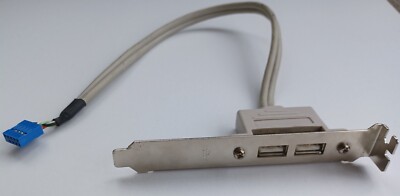 9 Pin Mainboard Header auf 2 Port geschirmt USB 2.0 Rückseite/Halterung Kabel