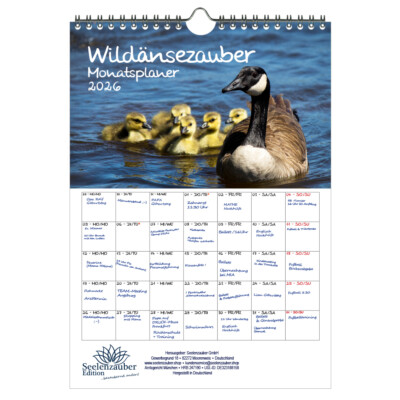 Seelenzauber Wandkalender Schlangenzauber DIN A4 Kalender für 2026