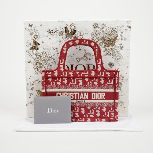 Dior North Book Tote Mini Tote Bag 155334887