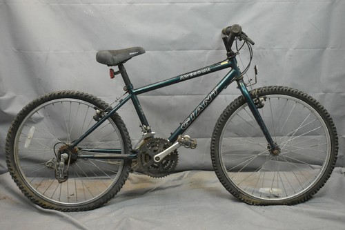 1995 Giant Awesome 24\