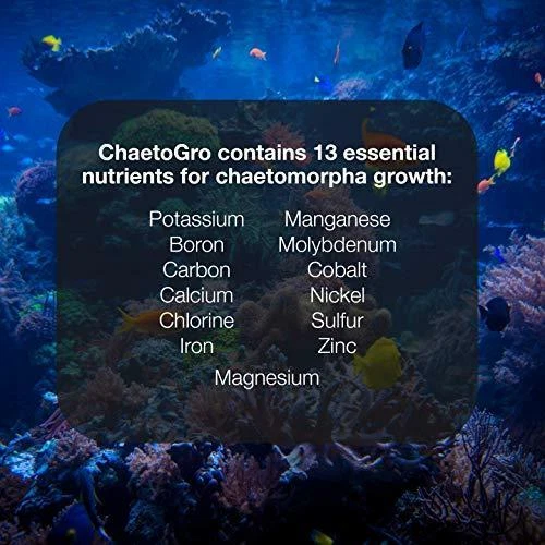 Brightwell Aquatics Chaeto GRO - Suplemento multinutriente para Chaetomorpha Foto 3 de 3