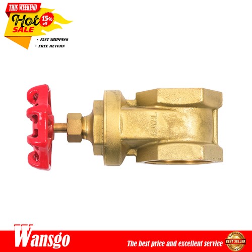 2" Industrial Brass Gate Valve 200 PSI, Multi-Purpose Use, NPT Female Ports