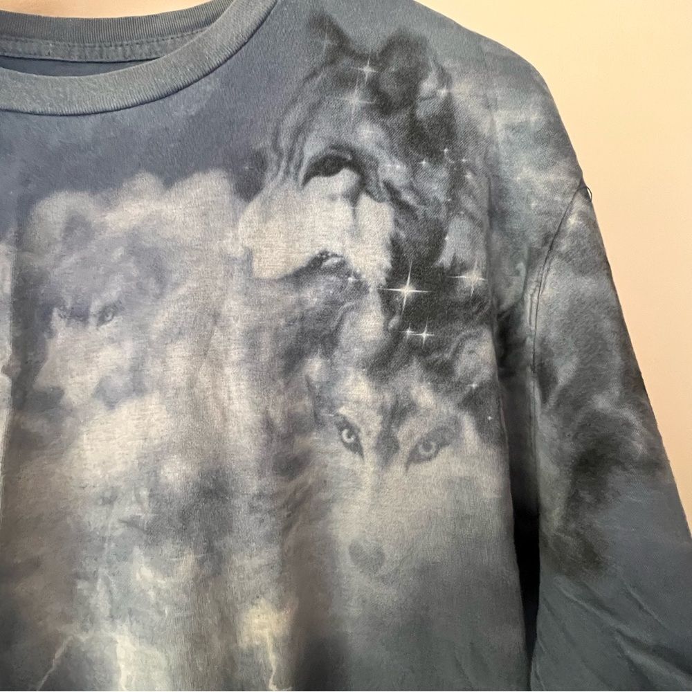 THE MOUNTAIN EVOLUTION - image 5