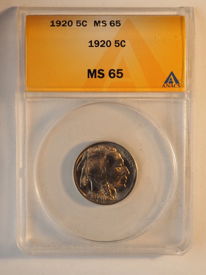 1920 *P* Buffalo Nickel *ANACS MS 65* - FREE SHIP! G1074 - Image 3 of 4