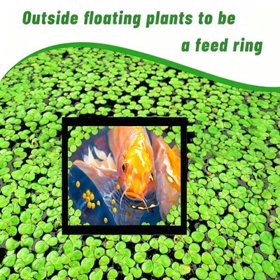 5Pcs Aquarium Floating Plant Rings Fish Feeding Rings Floating Grass Blocking