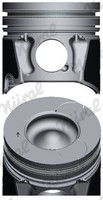 Kolben Nüral 87-436700-00 FüR BA7 Galaxy Peugeot MAX WA6 Rover CitroËN Jaguar MK