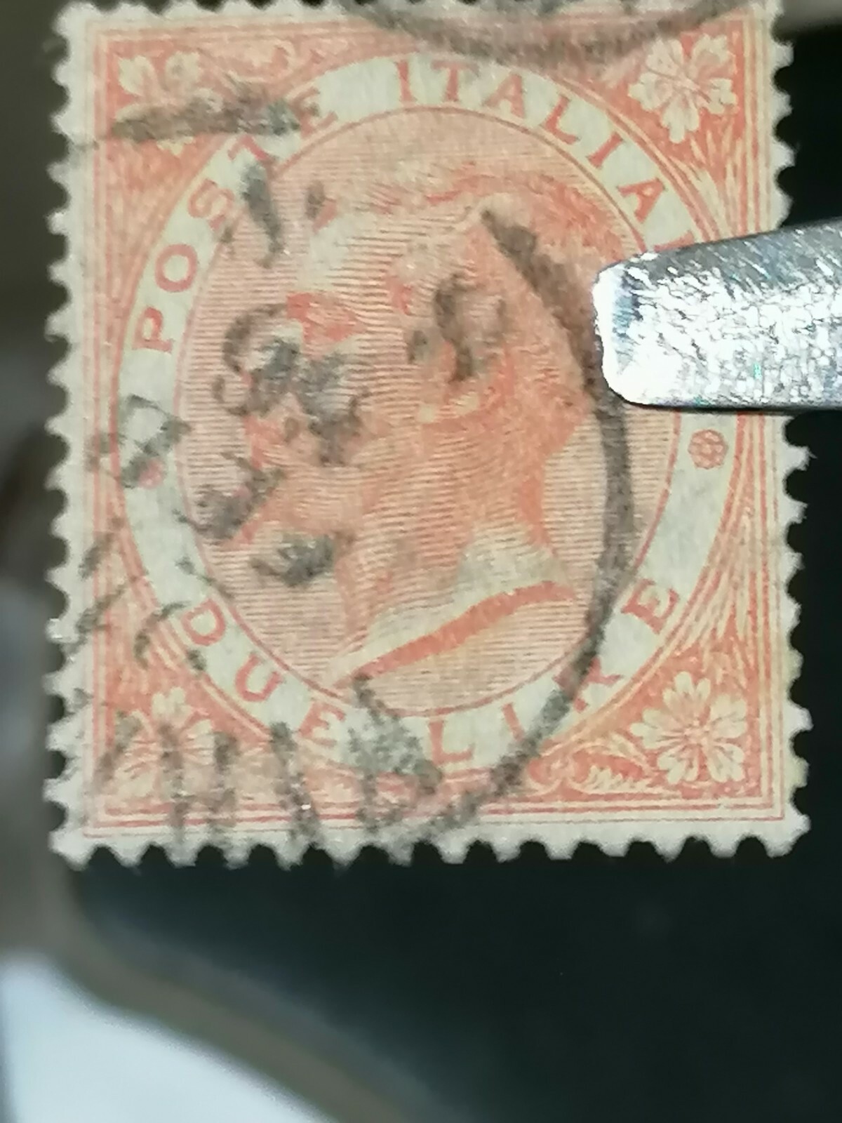 Foto 6 di 6