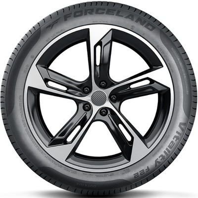 Tire Forceland Vitality F22 205/55R16 91V Performance | eBay