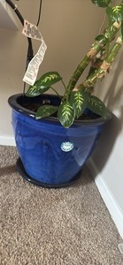 Large  two Black Square Outdoor Planter Pot, 1-Piece Set Includes Planter & Blue