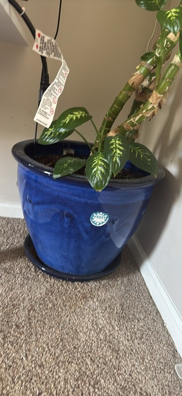 Large  two Black Square Outdoor Planter Pot, 1-Piece Set Includes Planter & Blue