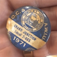 Trade Union Grand Junction Local 2-655 & 665 Pinback Union Pin 1971 Collectible