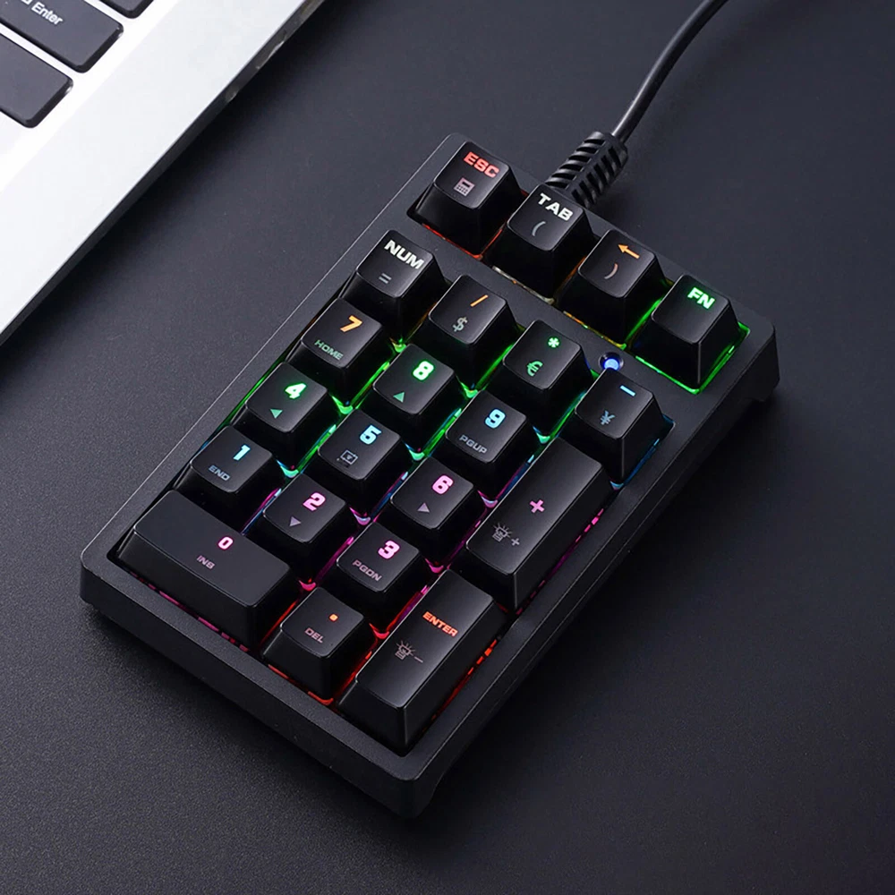 Compact Mechanical Numeric Keypad with Blue Switches for Laptops and External Devices