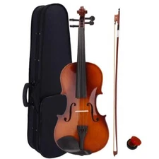 Christmas Gift Acoustic Violin 4/4 Full Size with Case Bow Rosin New