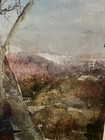 Picture 6 of 7