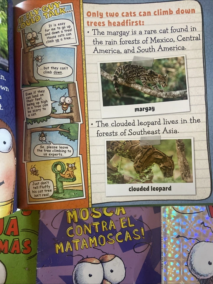 FLY GUY ~ Lot of 5 books by Tedd Arnold Children Kids ~ VERY GOOD Spanish - Image 4 of 4