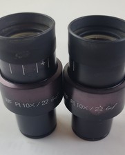 Pair of WF Pl 10x 22 Eyepieces