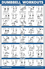 Palace Learning Dumbbell Workout Exercise Poster - Free Weight Body Building